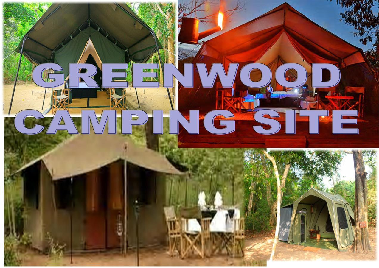 Greenwood Udawalawa Safari Resort Udawalawe Esterno foto