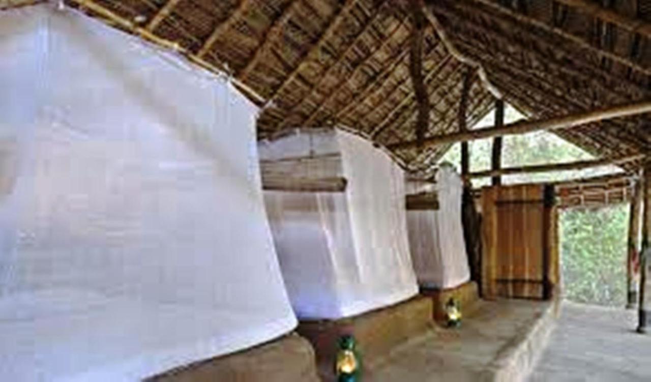 Greenwood Udawalawa Safari Resort Udawalawe Esterno foto